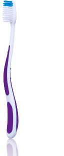 z1-1