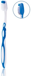 z1-1