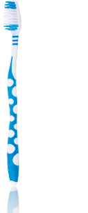z1-1